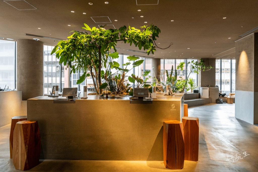 飯店櫃檯，檯面上方是一大盆綠色植栽