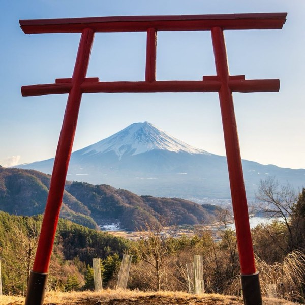 看富士山的季節來啦!河口湖、富士吉田五大絕美觀景點!