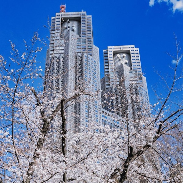 櫻花季來襲！揭秘東京賞櫻TOP5，與東京鐵塔、晴空塔共賞花海！