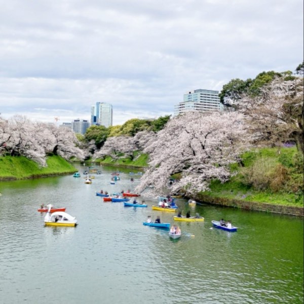 東京櫻花景點 10選!加碼私房景點,帶你發現不一樣的東京!