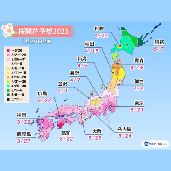 2025日本櫻花預測出爐！東京、京都、北海道開花時間大公開！