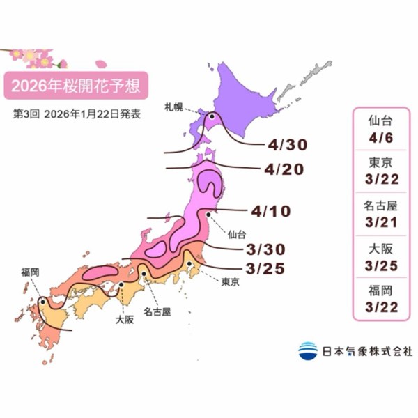 2026櫻花前線開跑！沖繩已開花，東京三月見！