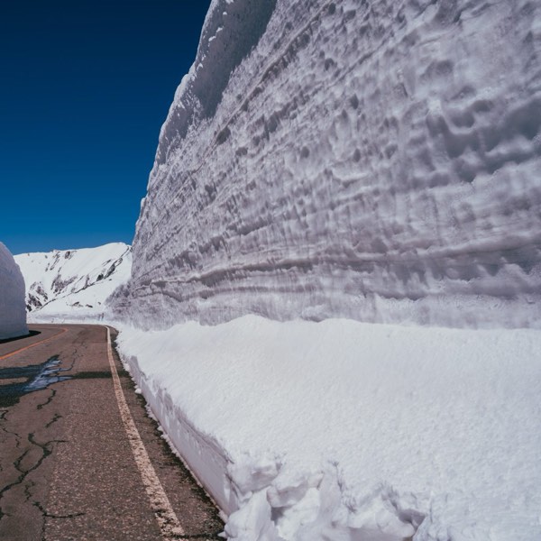 黑部立山開山特輯！一生必看的20公尺雪壁，探索經典立山黑部之旅！