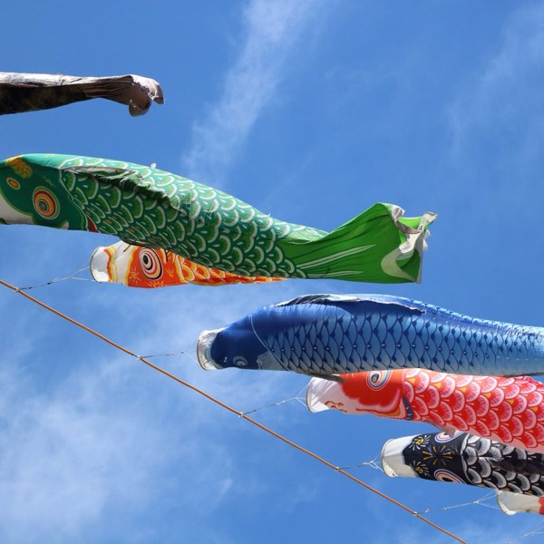 日本兒童節與端午節的雙重慶祝！你知道他們為何同日嗎？